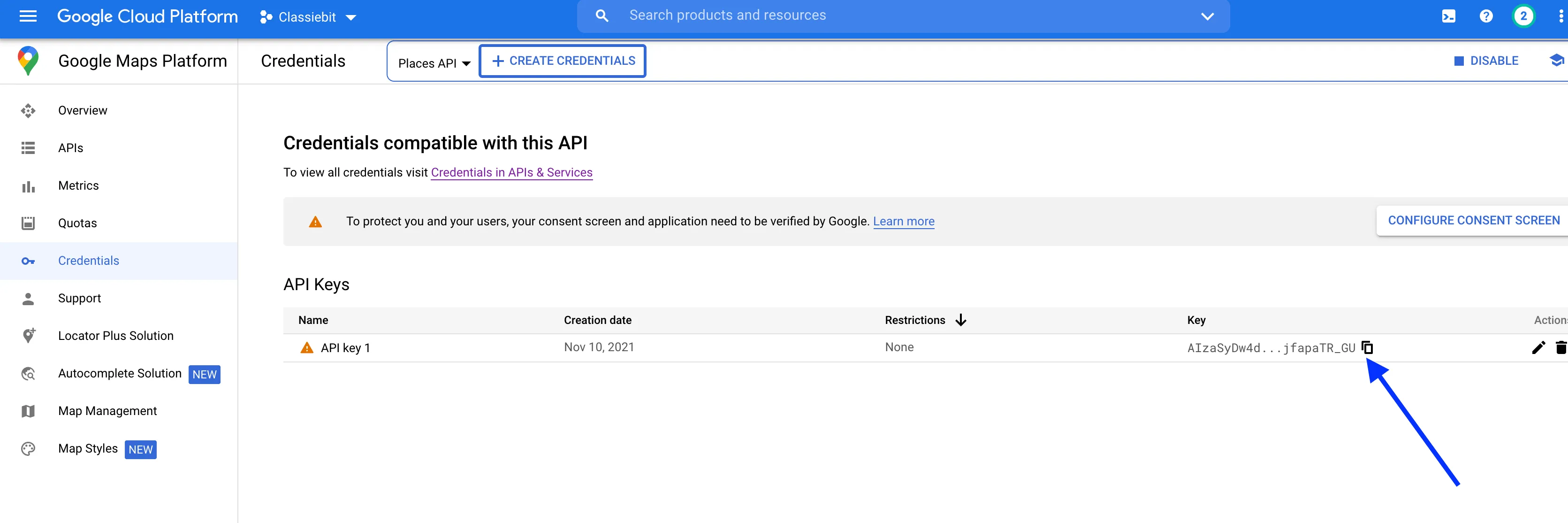 google-places-creds-copy google-places-creds-copy
